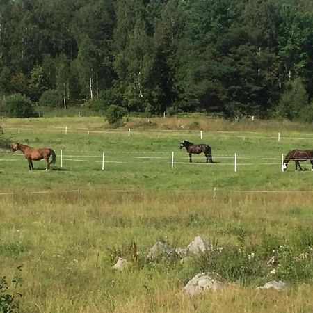 Egen Laegenhet I 2-Familjshus Pa Landet. Villa Tierp Bagian luar foto