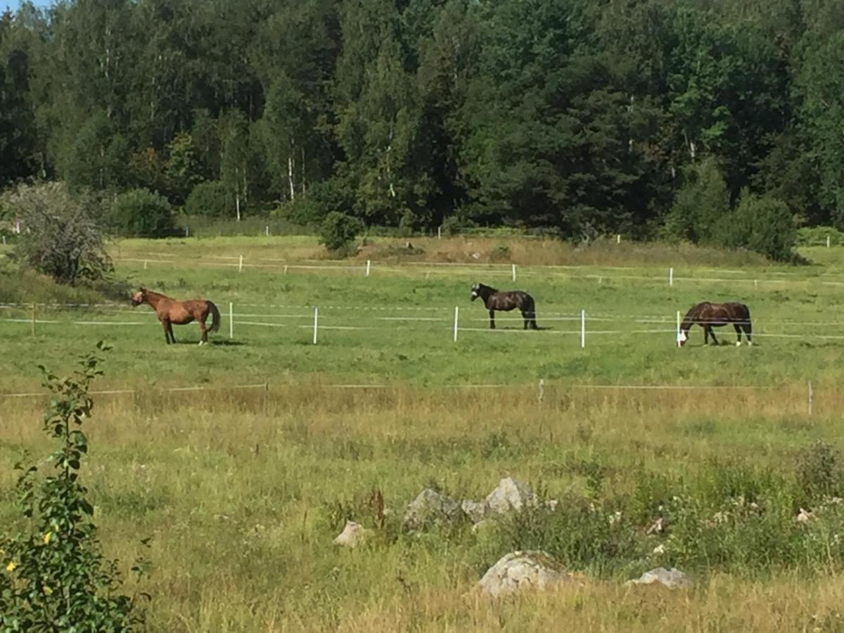 Egen Laegenhet I 2-Familjshus Pa Landet. Villa Tierp Bagian luar foto